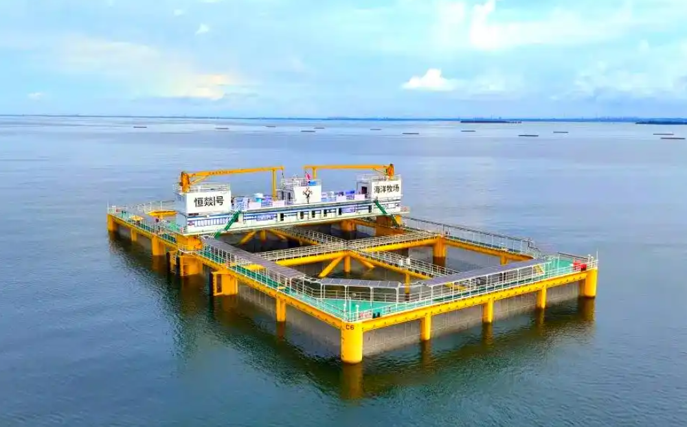 广东最大养殖平台“恒燚一号”落户湛江