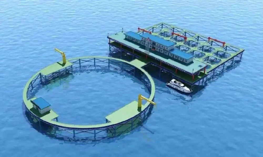 蓝色引擎轰鸣，碳纤维索缆护航——中国海洋经济启航新征程