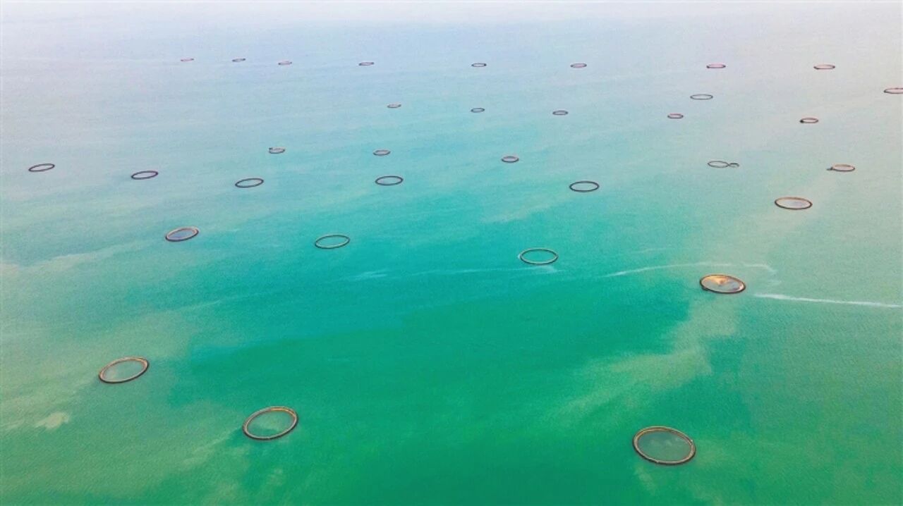 养殖网箱