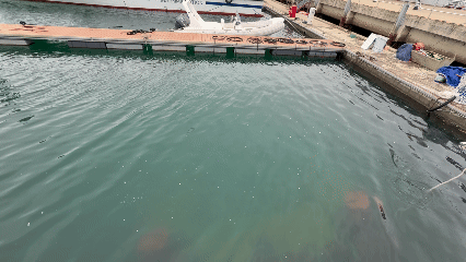 海洋升降型养殖浮架